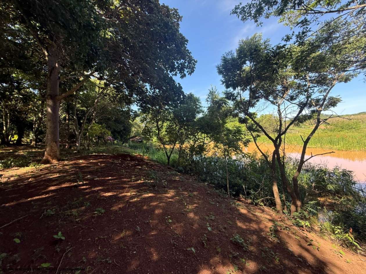 Chácara, 4 hectares - Foto 24