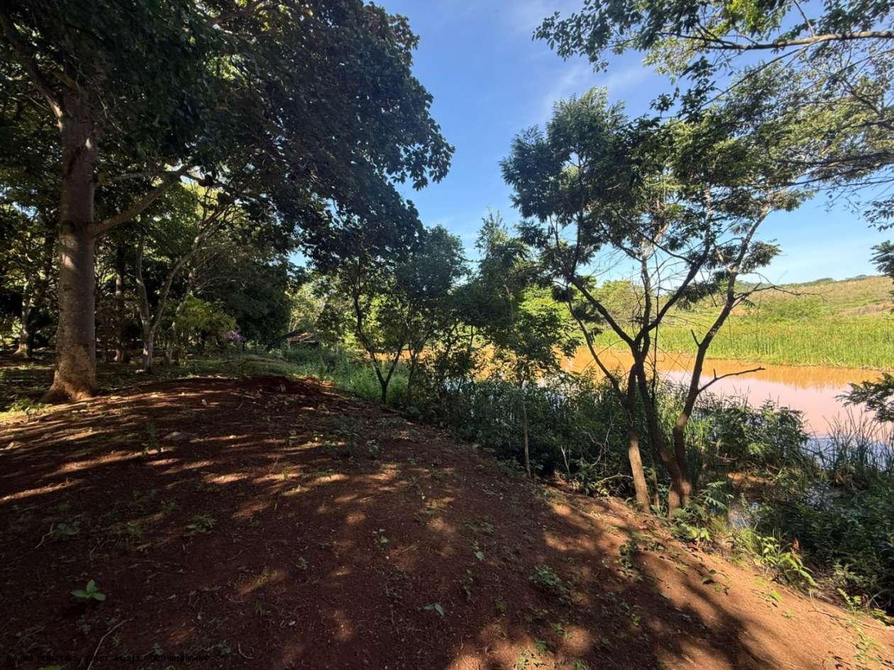 Chácara, 4 hectares - Foto 25