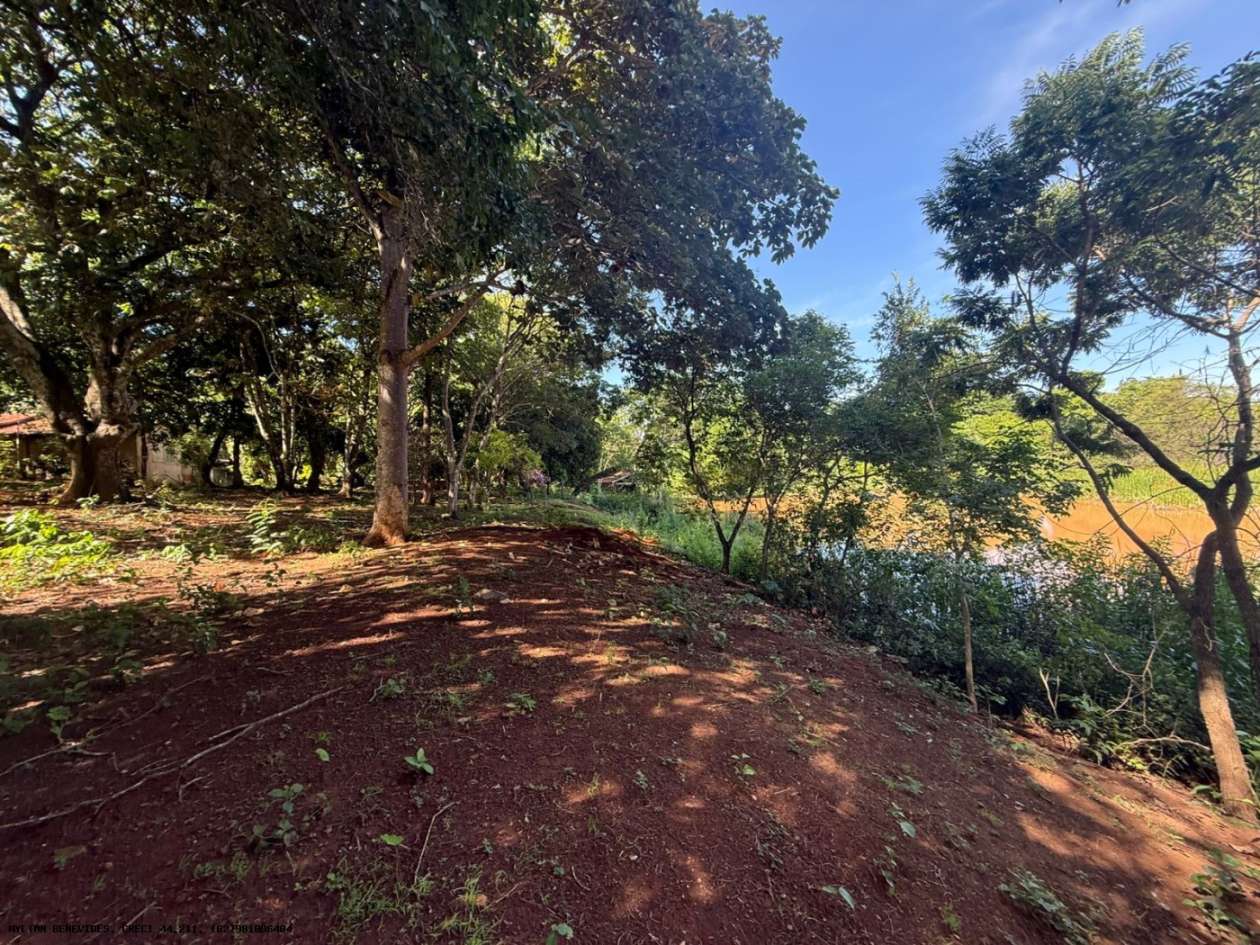 Chácara, 4 hectares - Foto 26