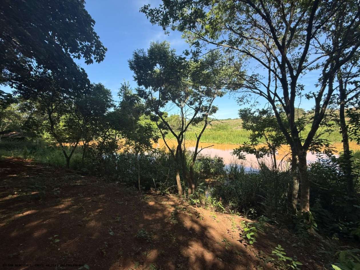 Chácara, 4 hectares - Foto 27