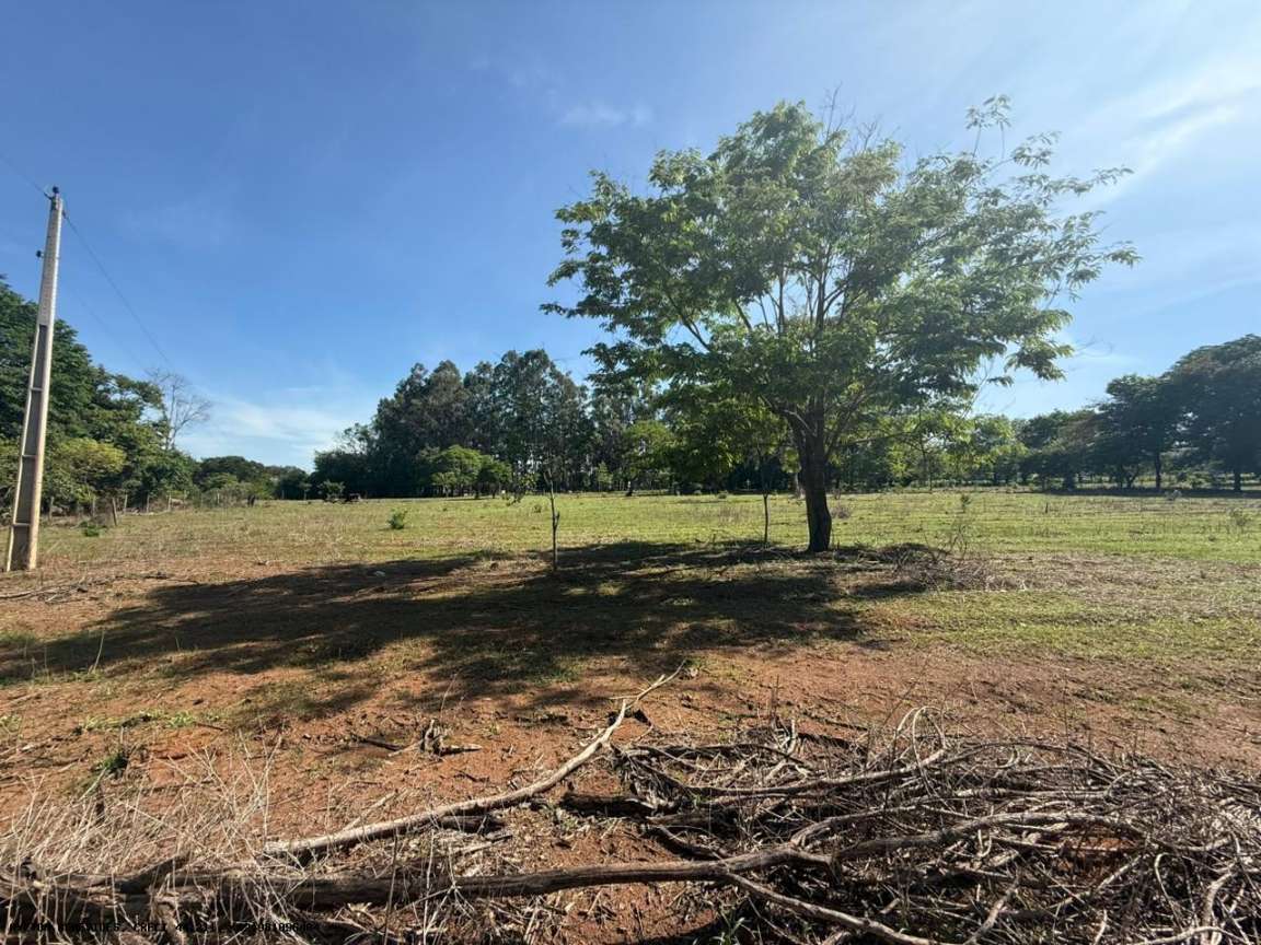 Chácara, 4 hectares - Foto 30