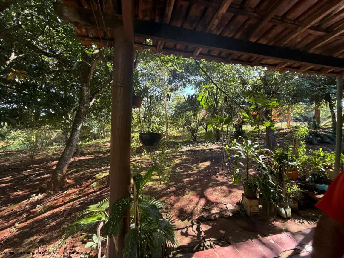 Chácara, 4 hectares - Foto 28