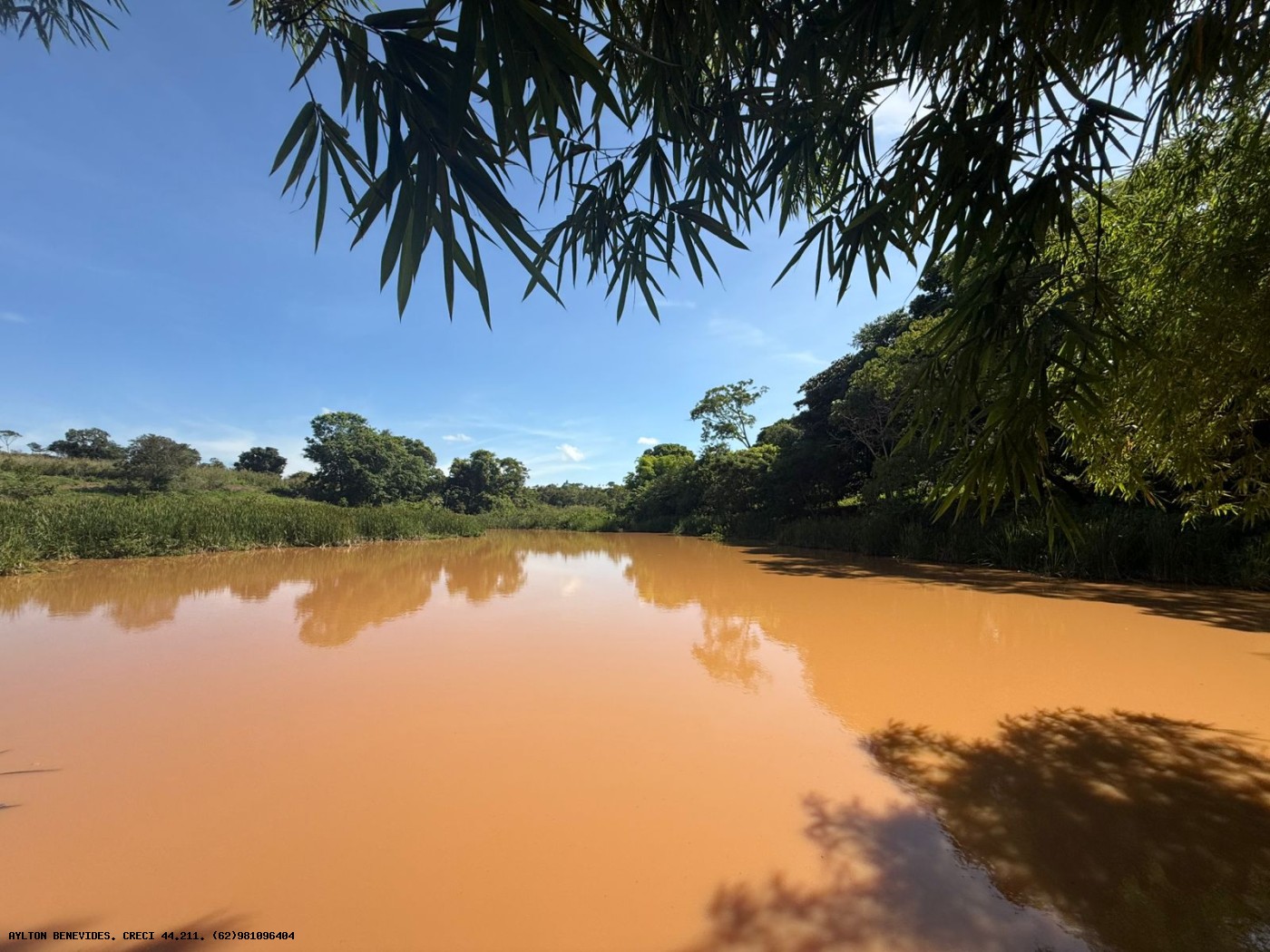 Chácara, 4 hectares - Foto 38