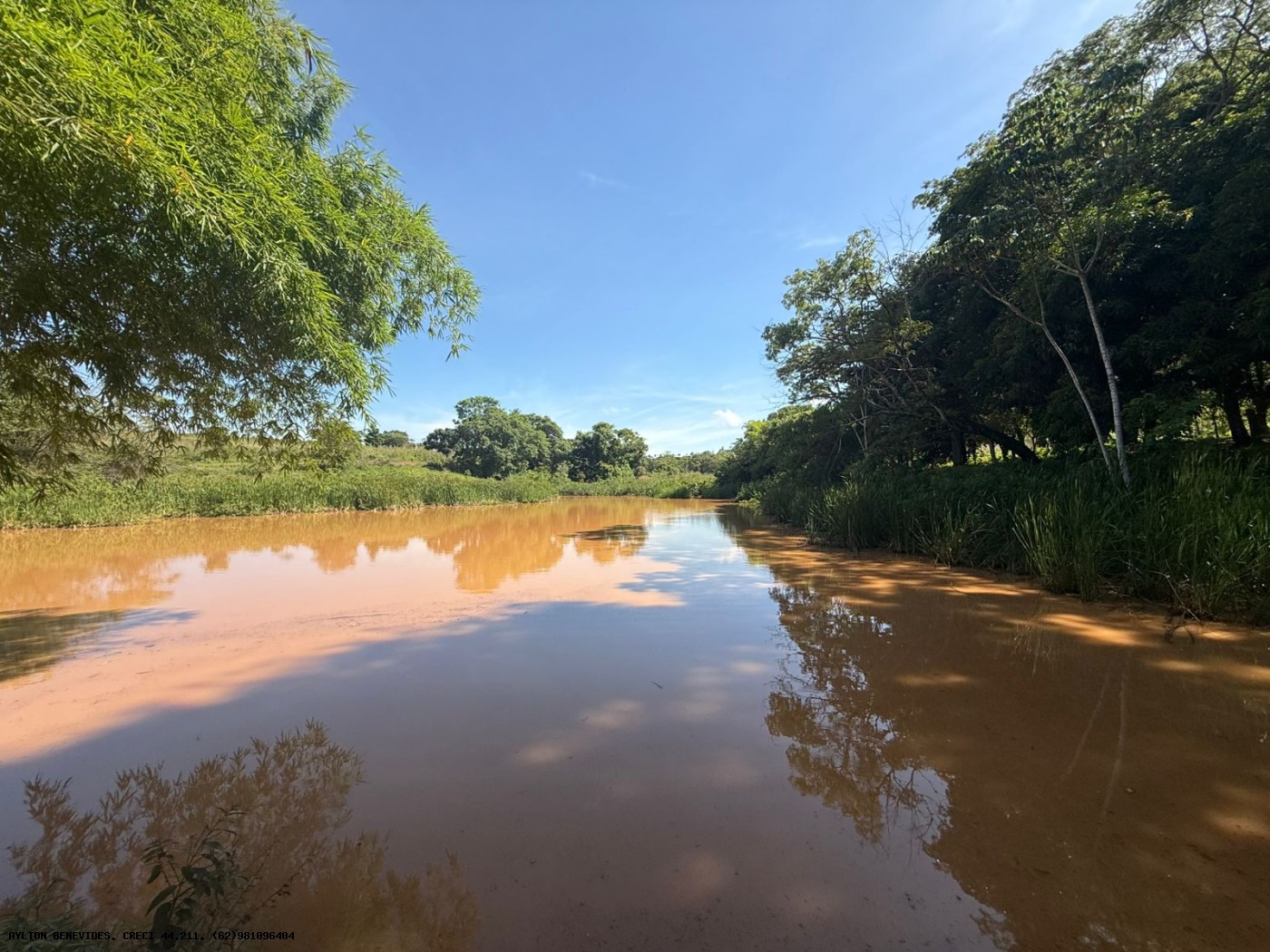 Chácara, 4 hectares - Foto 36