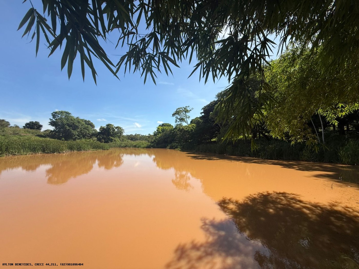 Chácara, 4 hectares - Foto 39