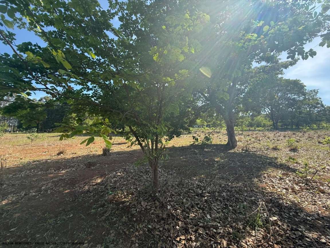 Chácara, 4 hectares - Foto 40