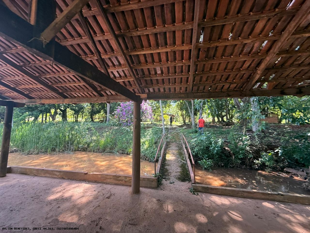 Chácara, 4 hectares - Foto 42