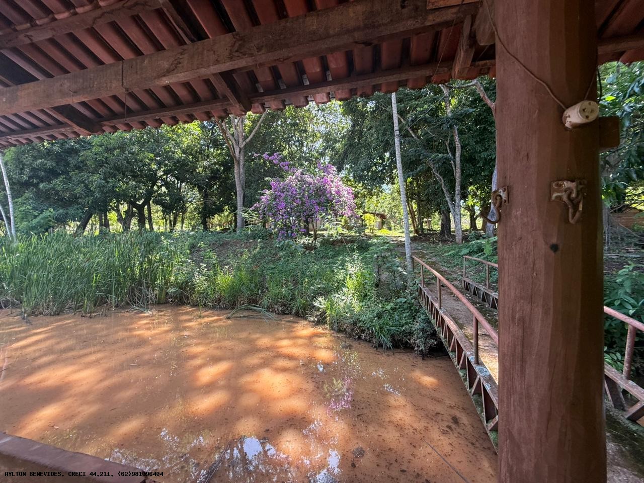 Chácara, 4 hectares - Foto 43