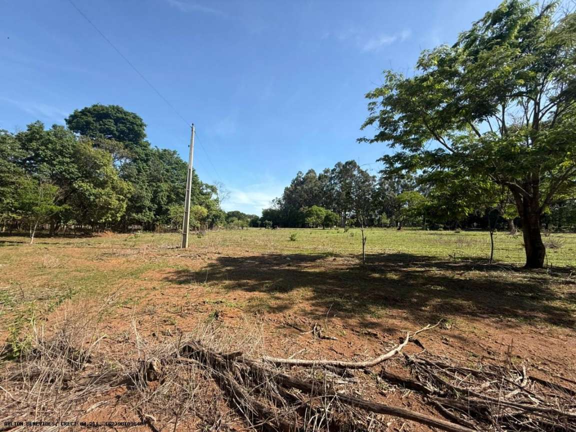 Chácara, 4 hectares - Foto 44