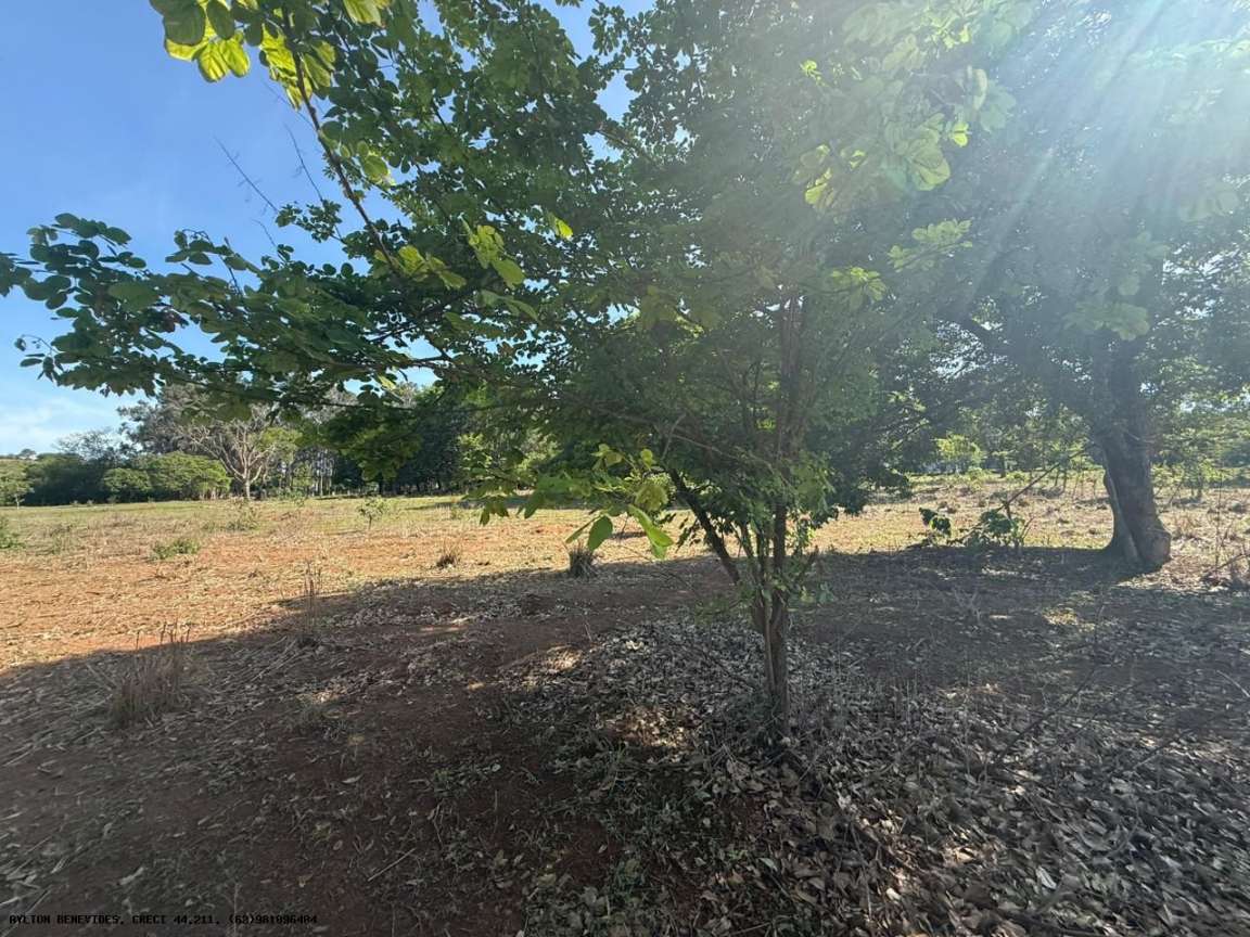 Chácara, 4 hectares - Foto 47