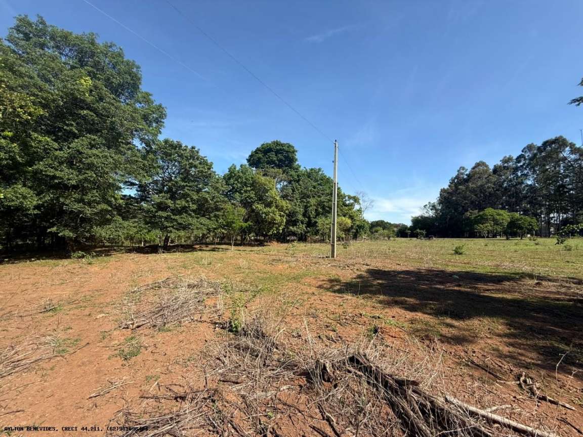 Chácara, 4 hectares - Foto 48