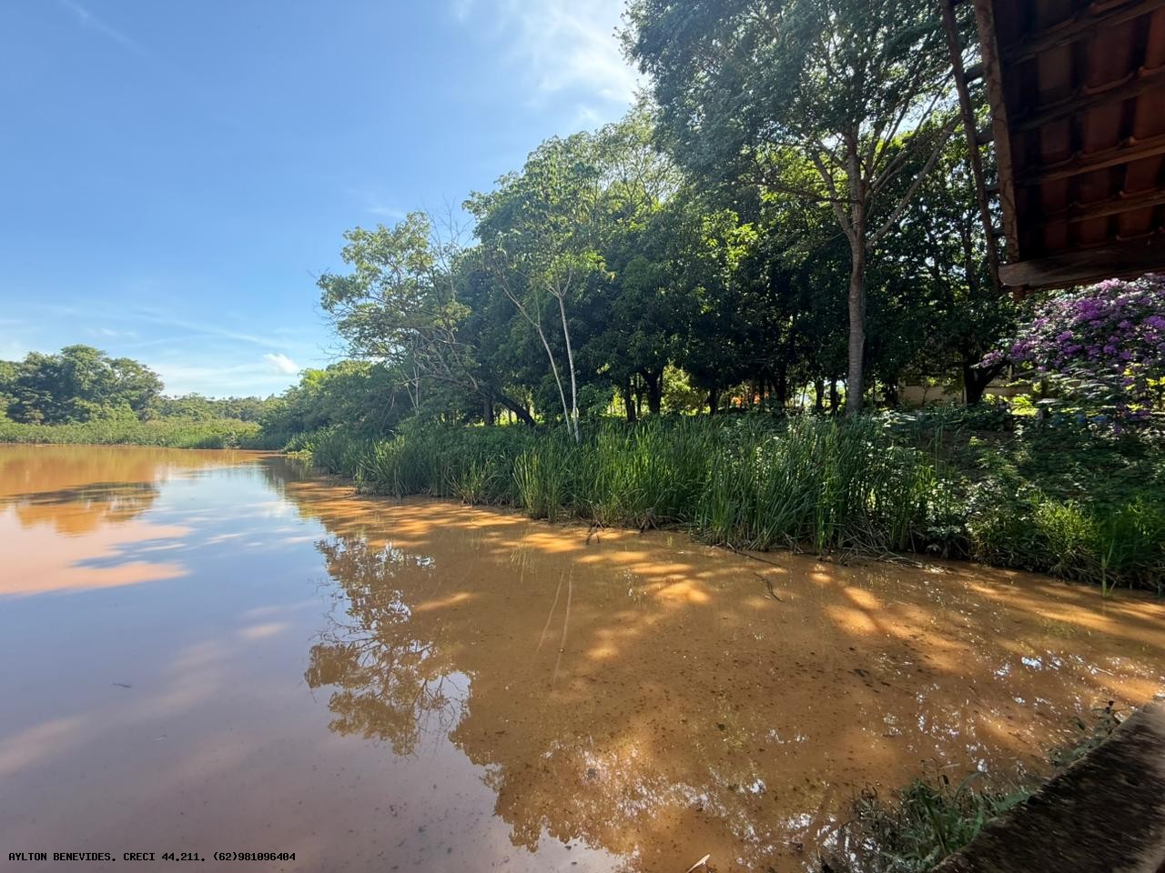 Chácara, 4 hectares - Foto 51