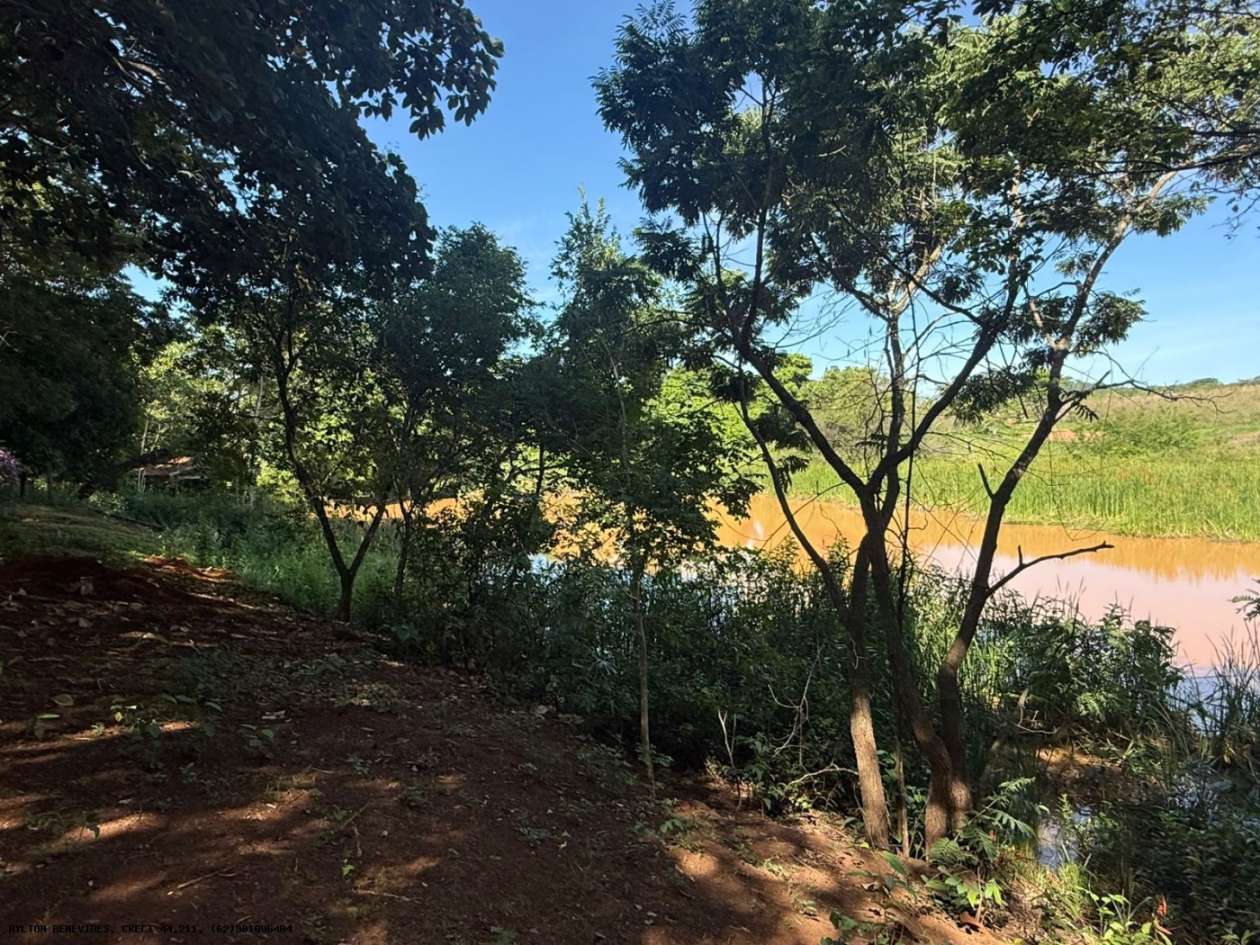 Chácara, 4 hectares - Foto 57