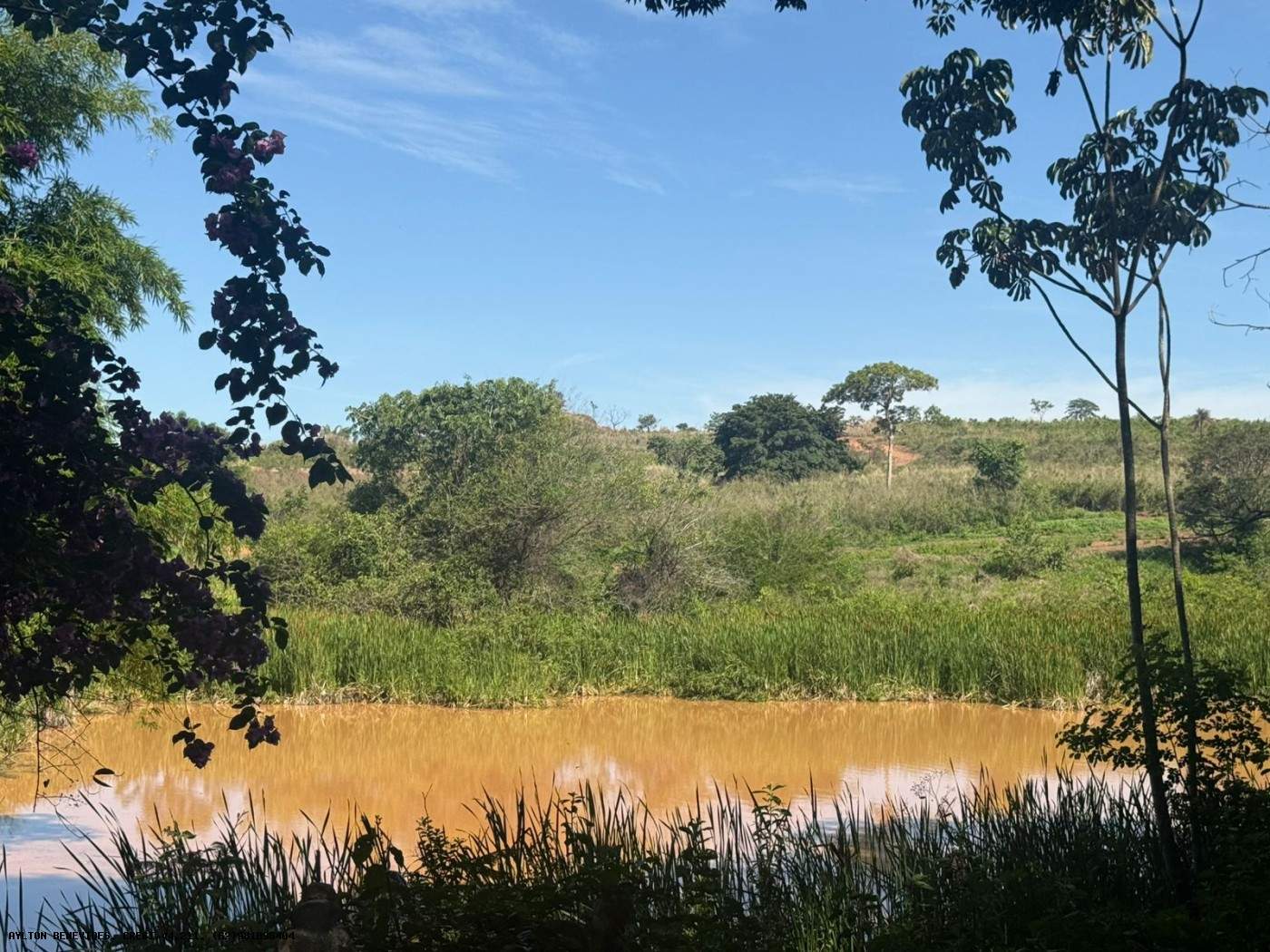 Chácara, 4 hectares - Foto 56