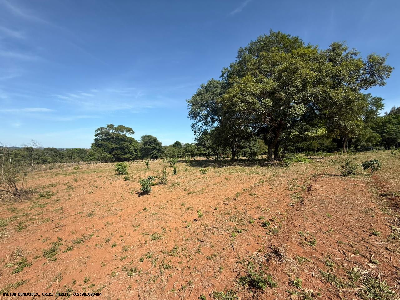 Chácara, 4 hectares - Foto 62