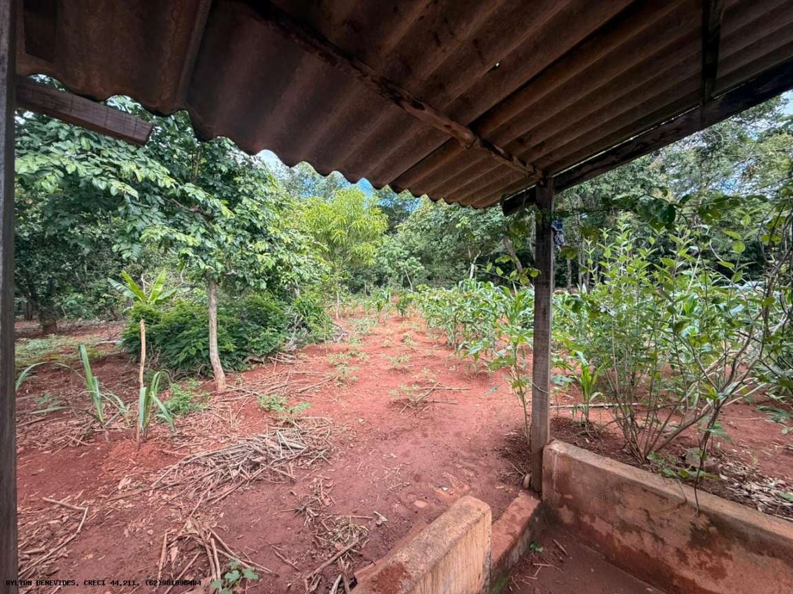 Chácara, 4 quartos, 4000 m² - Foto 3