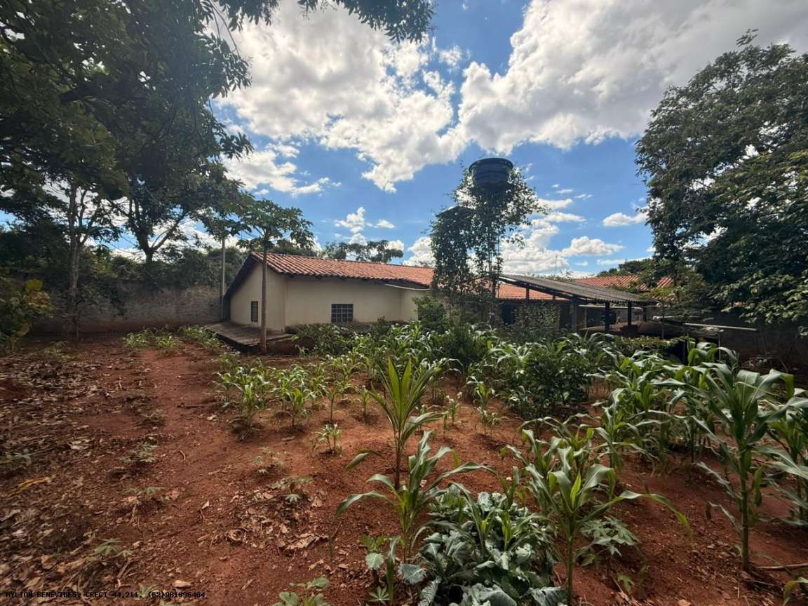 Chácara, 4 quartos, 4000 m² - Foto 5