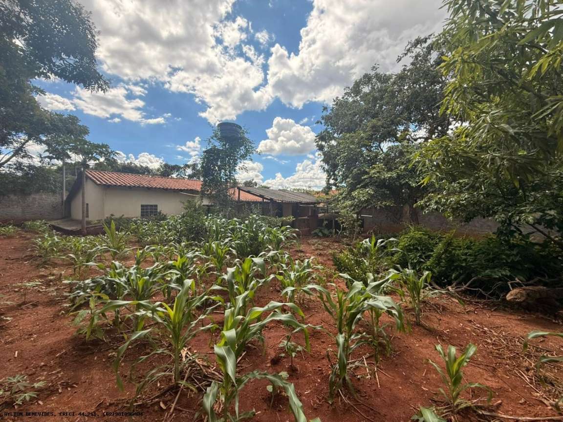 Chácara, 4 quartos, 4000 m² - Foto 4