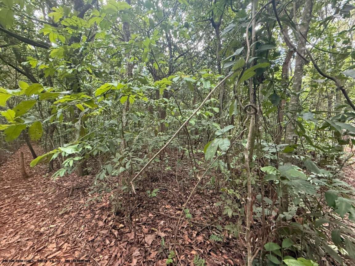 Chácara, 4 quartos, 4000 m² - Foto 8