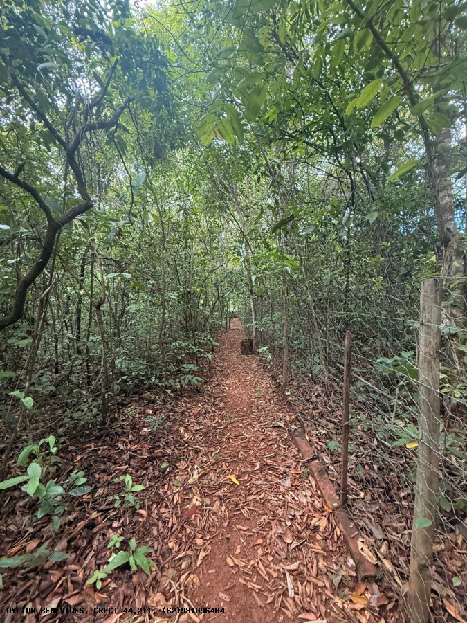 Chácara, 4 quartos, 4000 m² - Foto 7