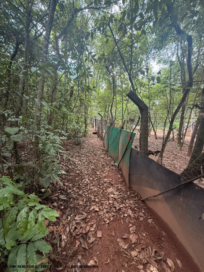 Chácara, 4 quartos, 4000 m² - Foto 6