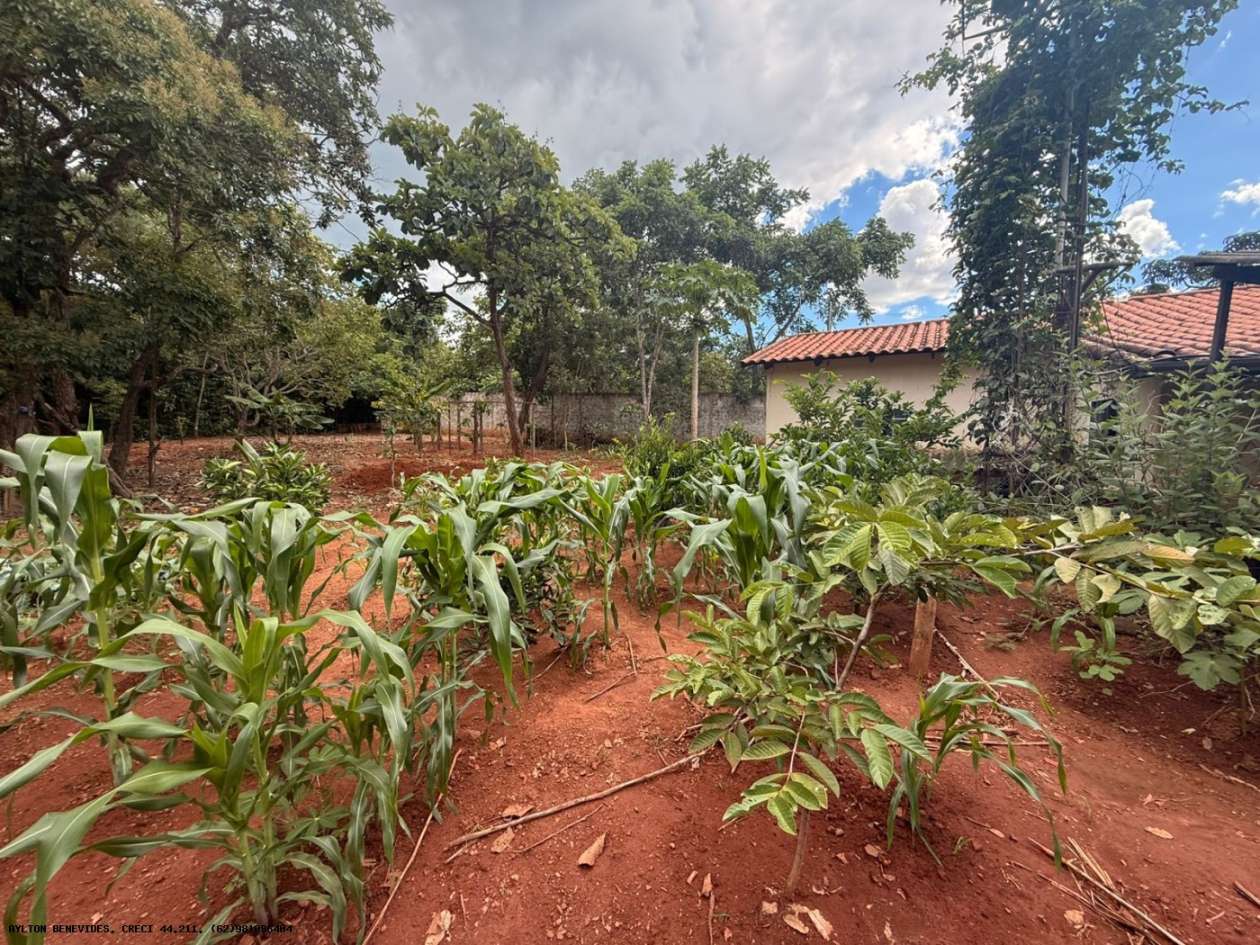 Chácara, 4 quartos, 4000 m² - Foto 10