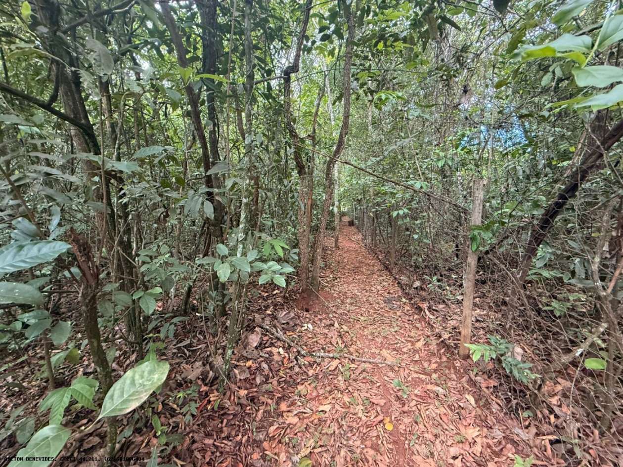 Chácara, 4 quartos, 4000 m² - Foto 9