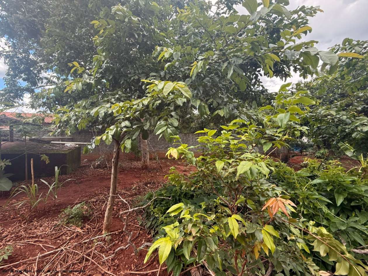 Chácara, 4 quartos, 4000 m² - Foto 12