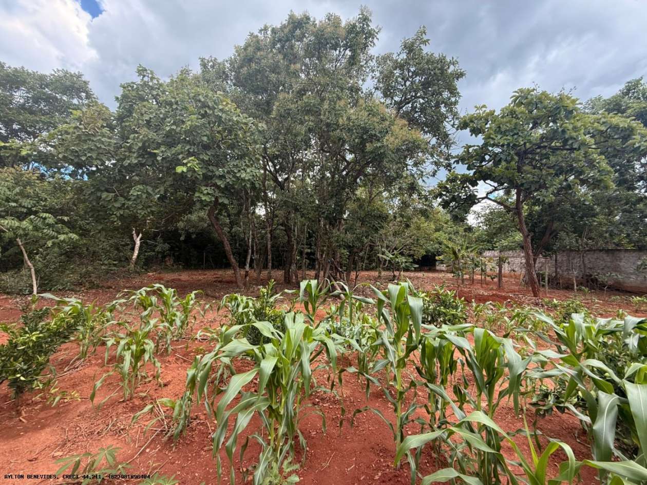 Chácara, 4 quartos, 4000 m² - Foto 14