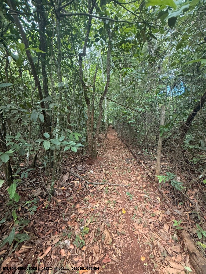 Chácara, 4 quartos, 4000 m² - Foto 13