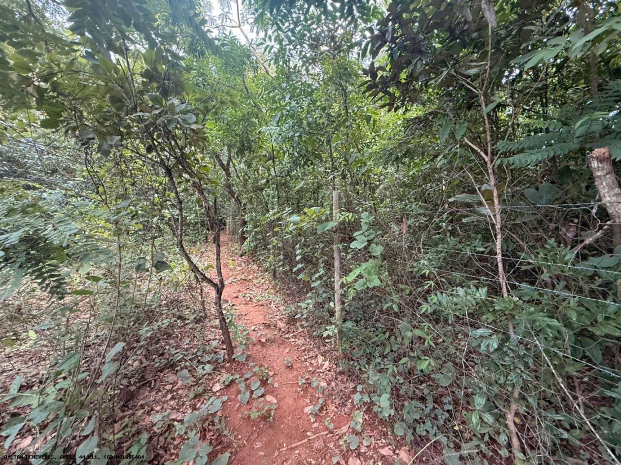 Chácara, 4 quartos, 4000 m² - Foto 16