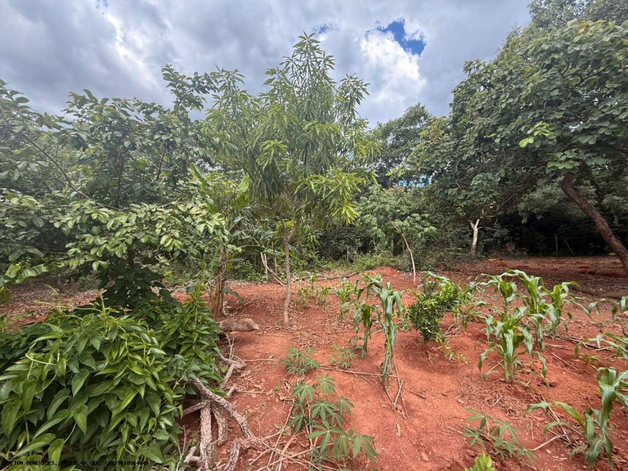 Chácara, 4 quartos, 4000 m² - Foto 15