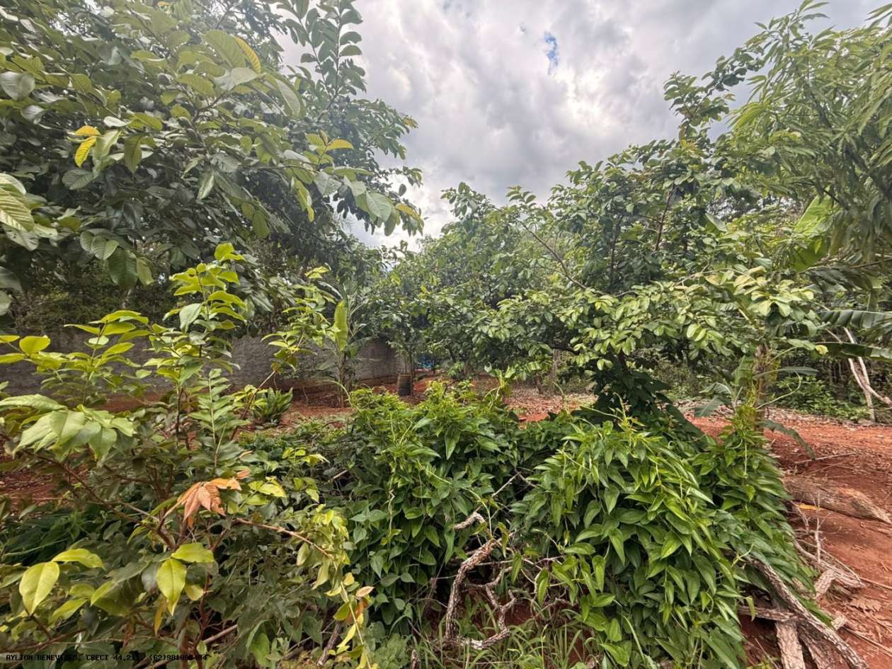 Chácara, 4 quartos, 4000 m² - Foto 17