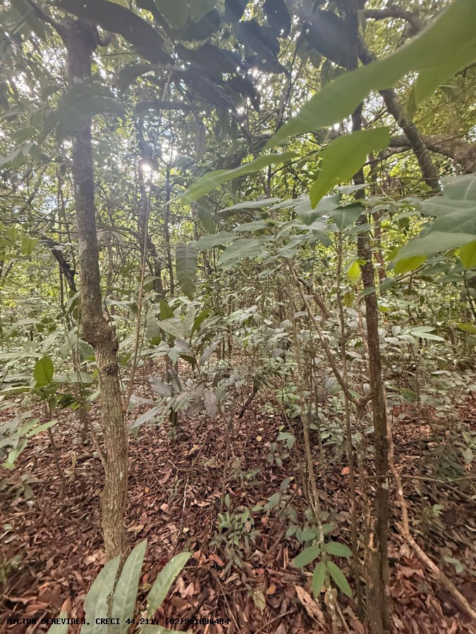 Chácara, 4 quartos, 4000 m² - Foto 18