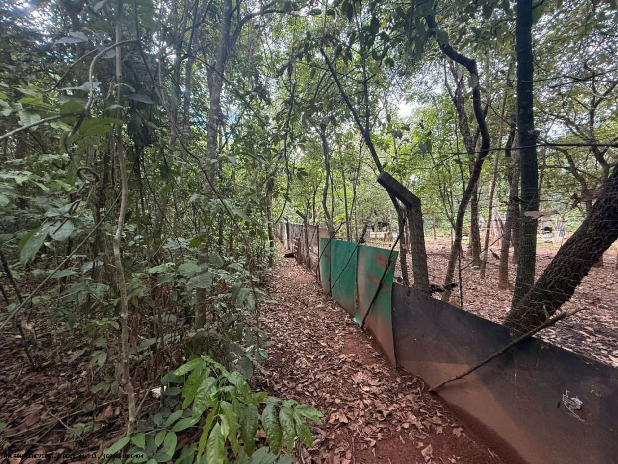 Chácara, 4 quartos, 4000 m² - Foto 19