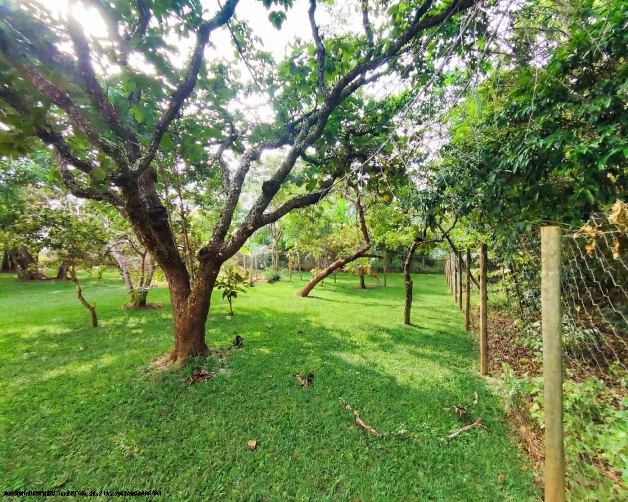 Chácara, 6 quartos, 4000 m² - Foto 1