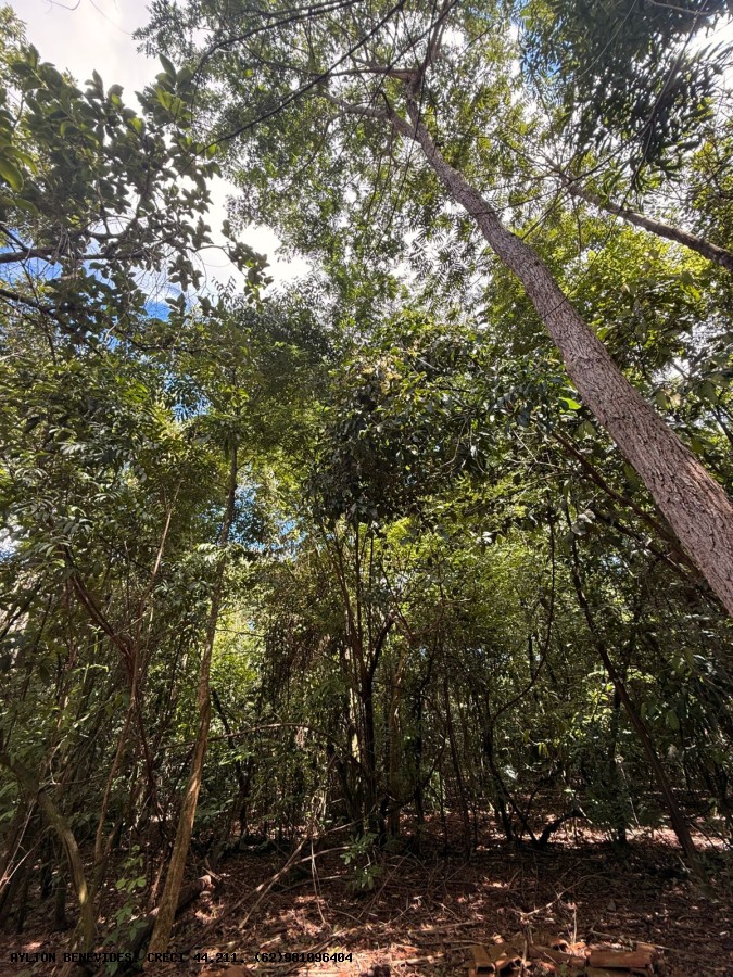 Chácara, 6 quartos, 4000 m² - Foto 3