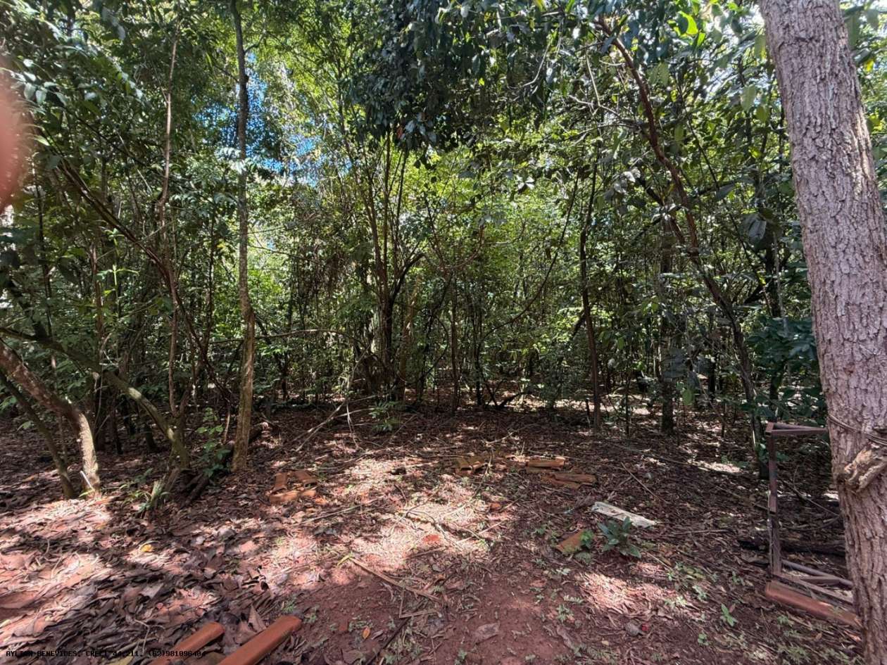 Chácara, 6 quartos, 4000 m² - Foto 4