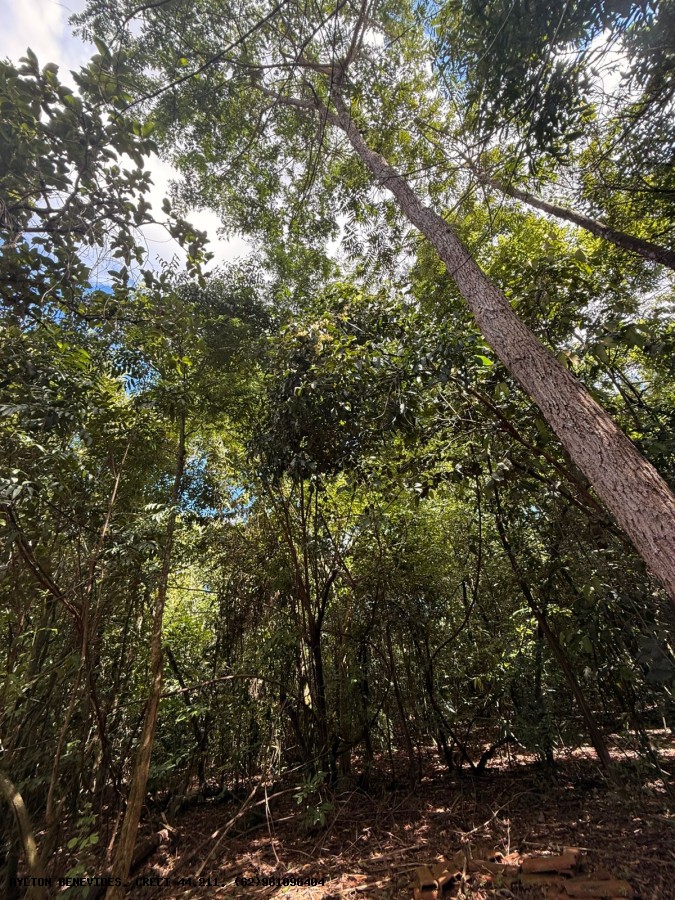 Chácara, 6 quartos, 4000 m² - Foto 5