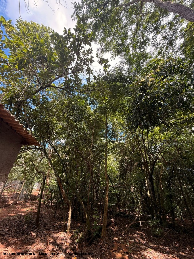 Chácara, 6 quartos, 4000 m² - Foto 6