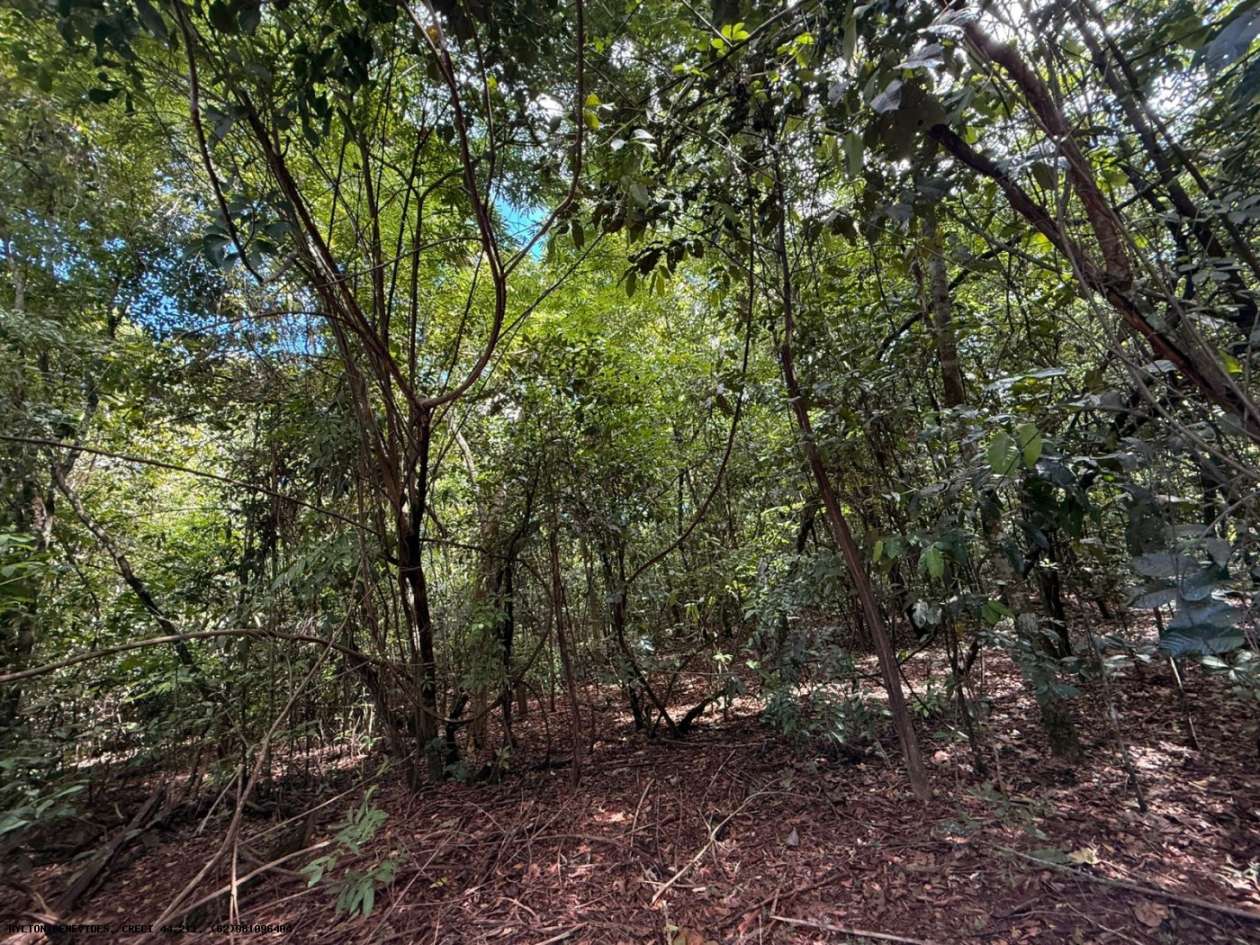 Chácara, 6 quartos, 4000 m² - Foto 7