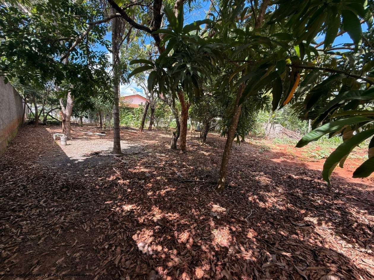 Chácara, 6 quartos, 4000 m² - Foto 10