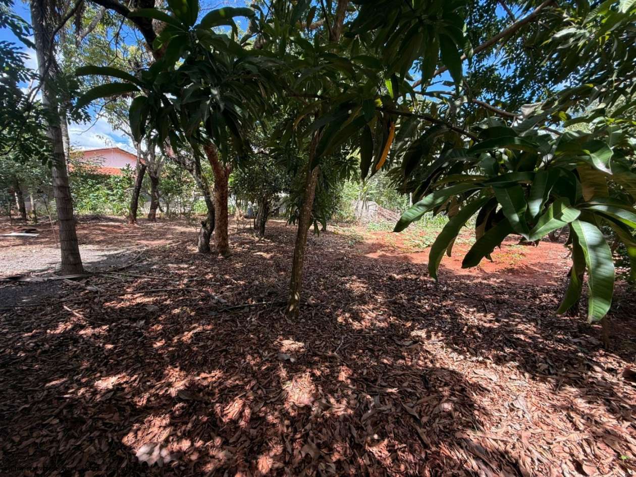 Chácara, 6 quartos, 4000 m² - Foto 9