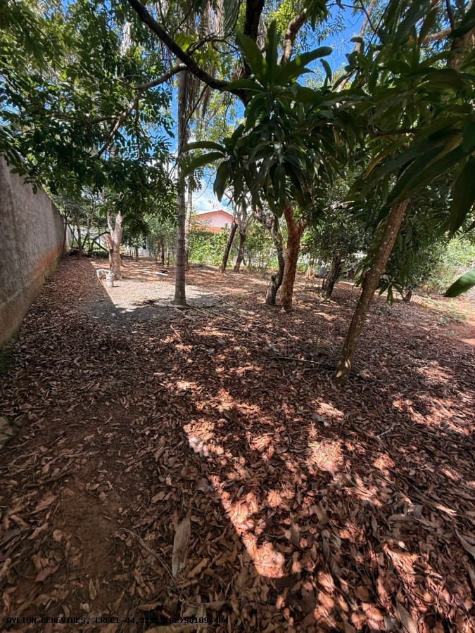 Chácara, 6 quartos, 4000 m² - Foto 27