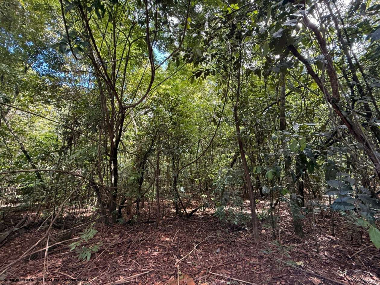 Chácara, 6 quartos, 4000 m² - Foto 31