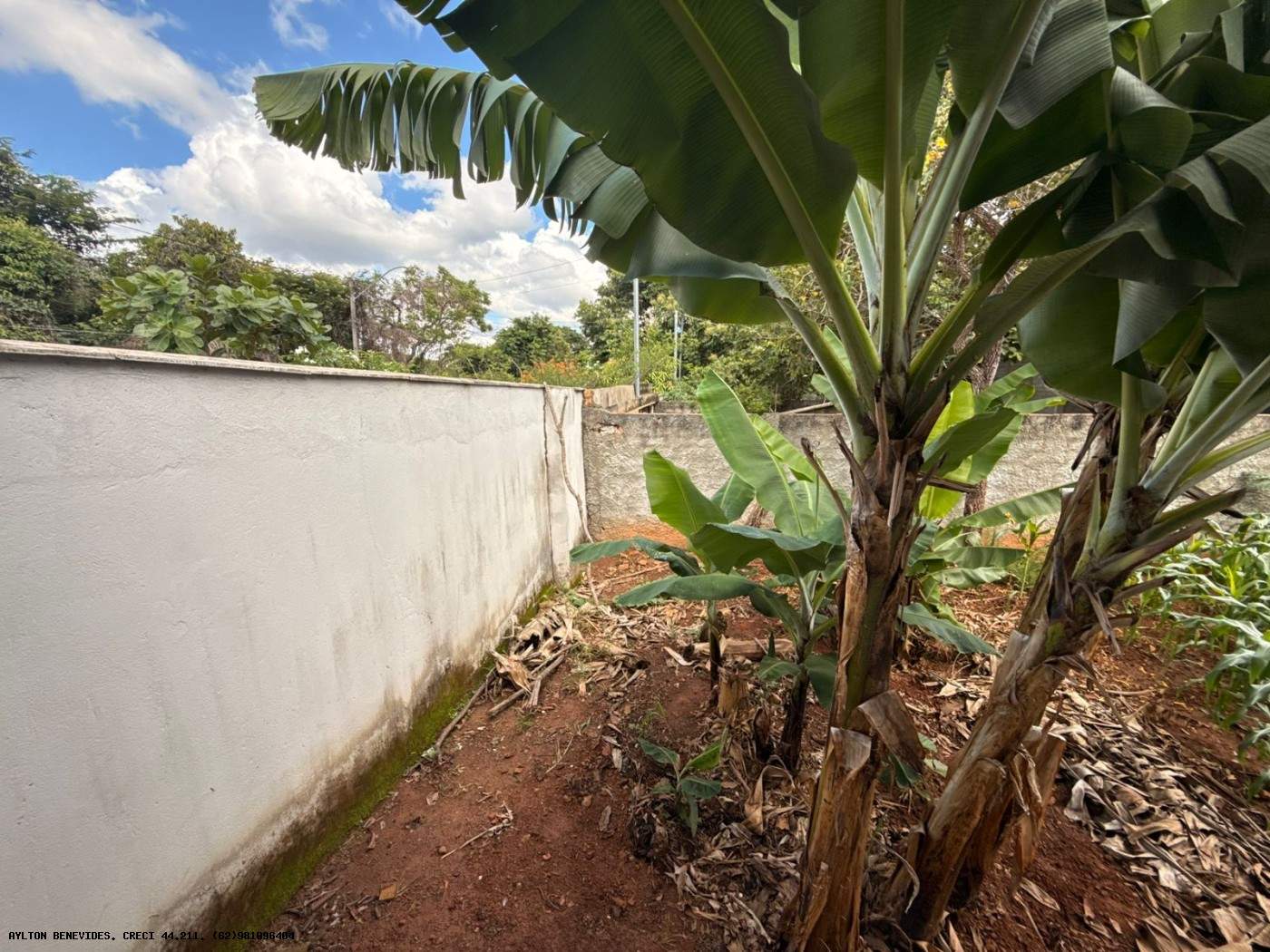 Chácara, 6 quartos, 4000 m² - Foto 33