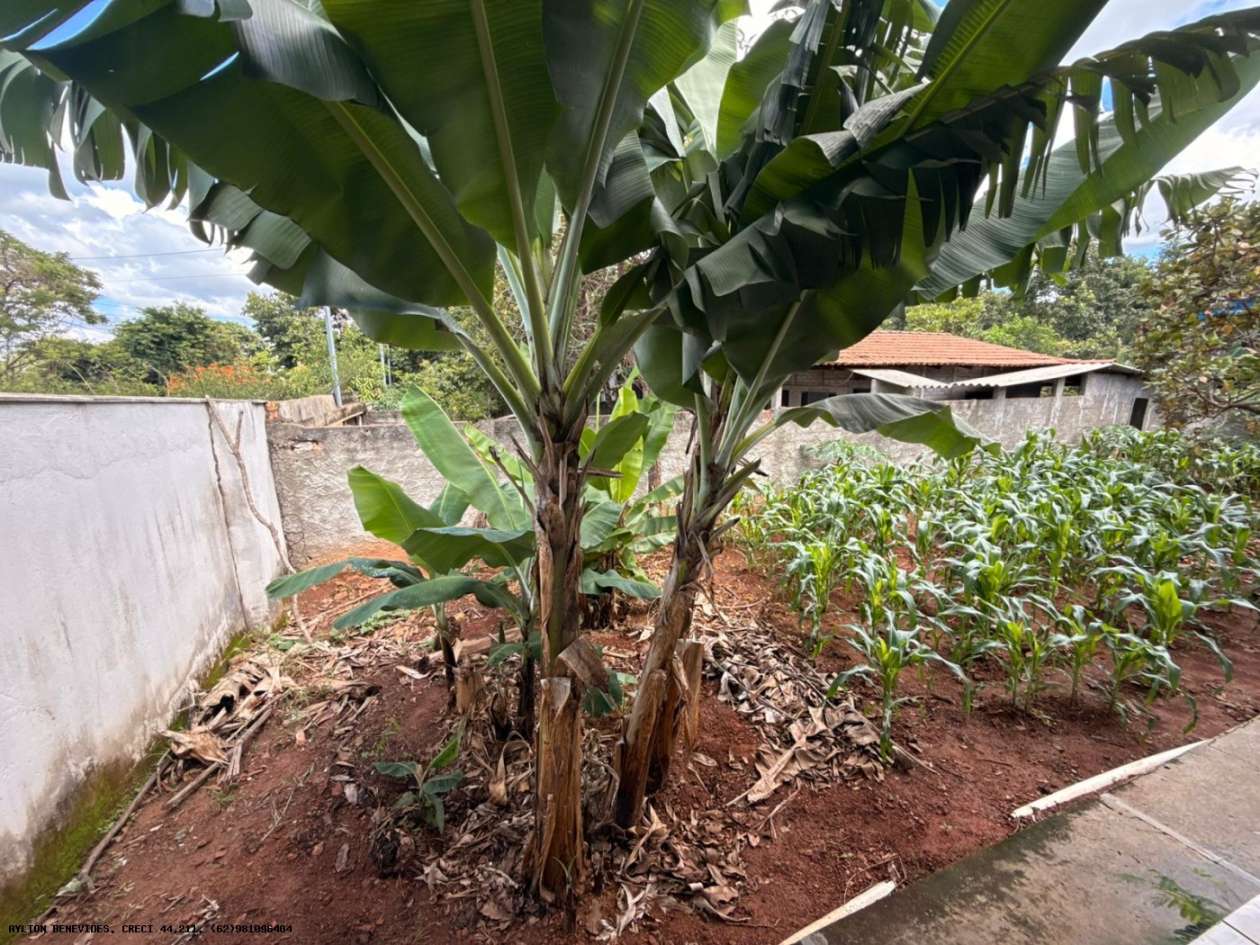 Chácara, 6 quartos, 4000 m² - Foto 35