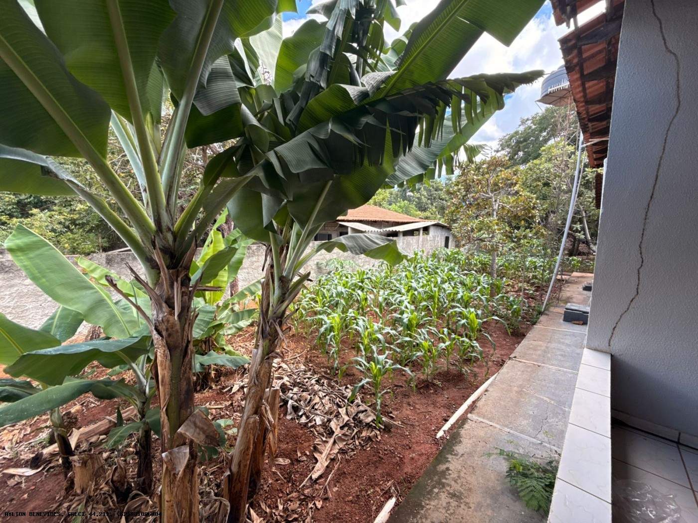 Chácara, 6 quartos, 4000 m² - Foto 34