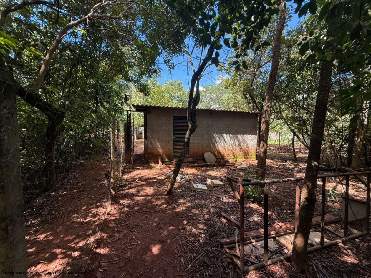 Chácara, 6 quartos, 4000 m² - Foto 38