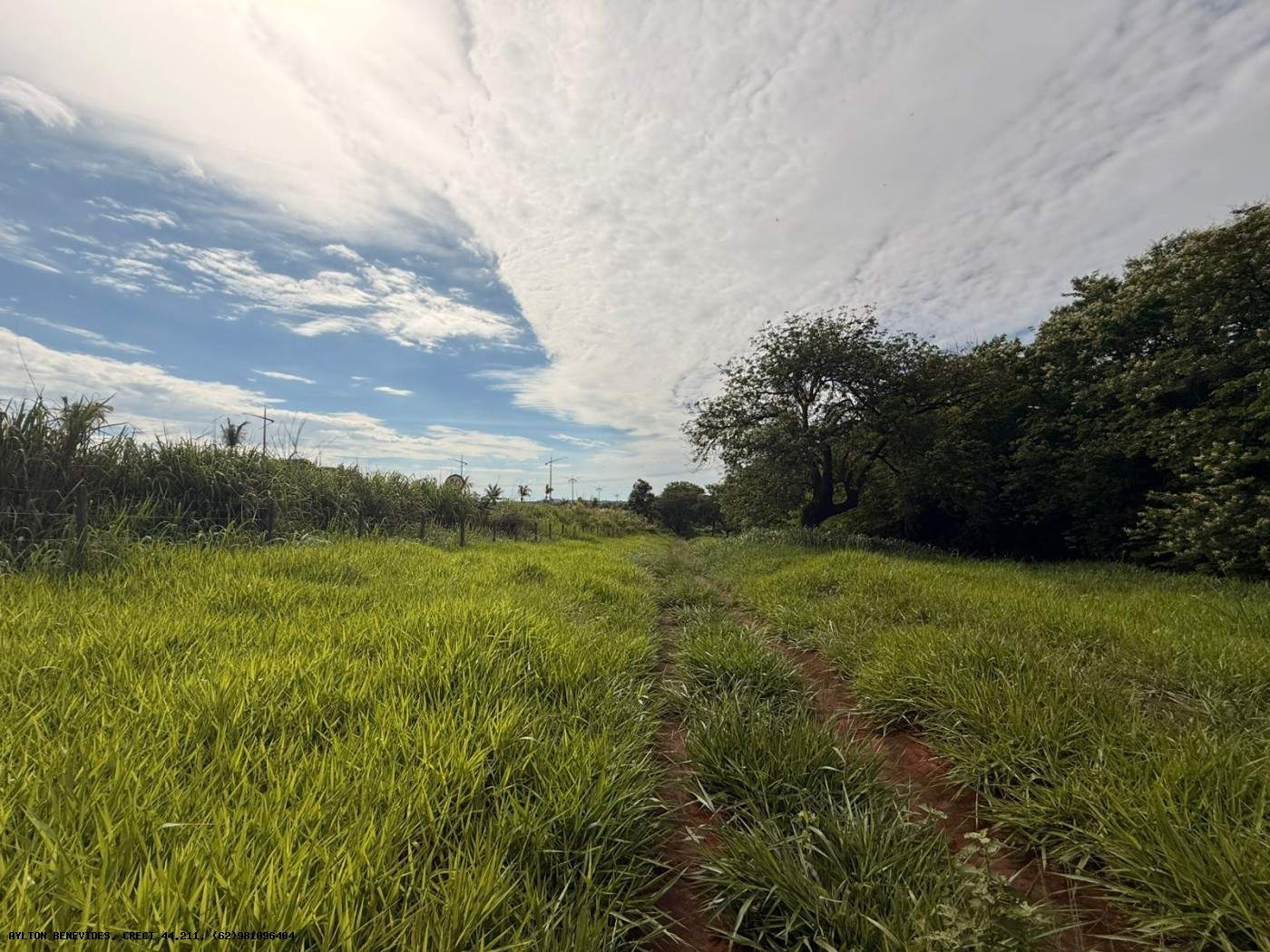 Terreno, 7 hectares - Foto 5